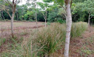VENTA DE TERRENO EN POTRERILLO ABAJO 8,500 METROS TITULADOS