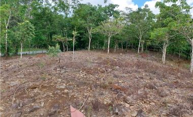 VENTA DE TERRENO EN POTRERILLO ABAJO 8,500 METROS TITULADOS