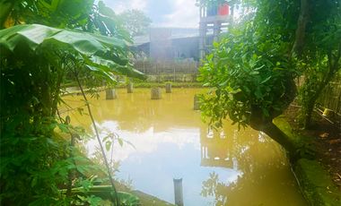 DIJUAL RUMAH 4 BR, MEWAH DAN ASRI DI DAERAH SUBANG JAWA BARAT