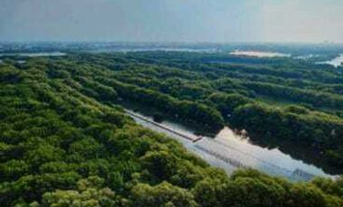 Jual Apartemen Gold Coast 2 Bedroom Furnsih