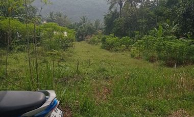 kavling murah Padalarang