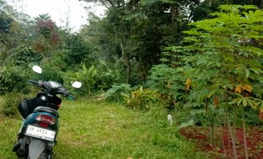 kavling murah Padalarang