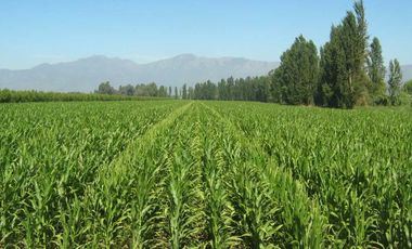 Casa en venta en SAN VICENTE