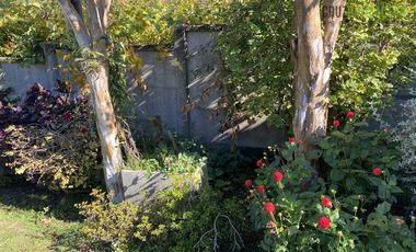 Casa en Arriendo en Balneario Pelluco