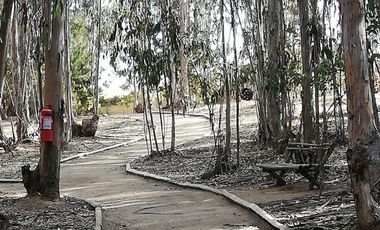 Departamento en Venta en LITORAL DE LOS POETAS 3800