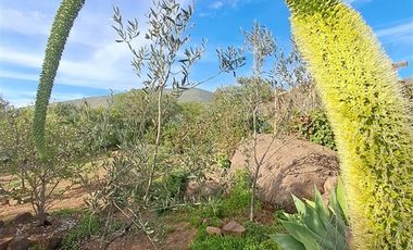 Parcela en Venta en las alcaparras