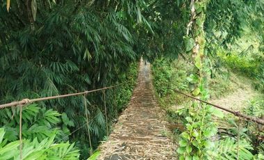 En Venta Terreno de 37.5 Hectáreas km 14 Vía Los Bancos - Valle Hermoso