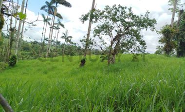 En Venta Terreno de 37.5 Hectáreas km 14 Vía Los Bancos - Valle Hermoso