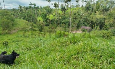 En Venta Terreno de 37.5 Hectáreas km 14 Vía Los Bancos - Valle Hermoso