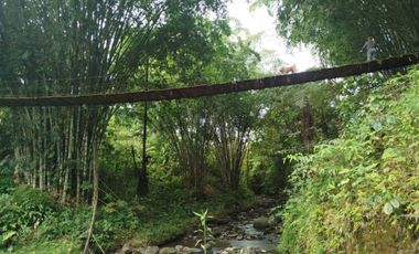 En Venta Terreno de 37.5 Hectáreas km 14 Vía Los Bancos - Valle Hermoso