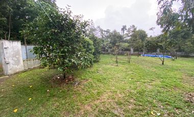 Rumah Villa + Kebun Durian 1051 m2 di Purwakarta Dijual Murah