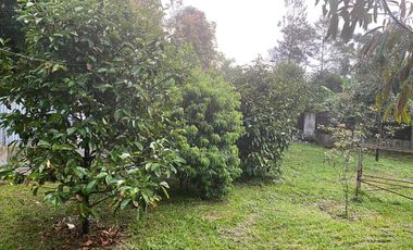 Rumah Villa + Kebun Durian 1051 m2 di Purwakarta Dijual Murah