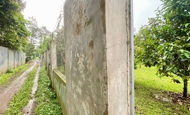 Rumah Villa + Kebun Durian 1051 m2 di Purwakarta Dijual Murah