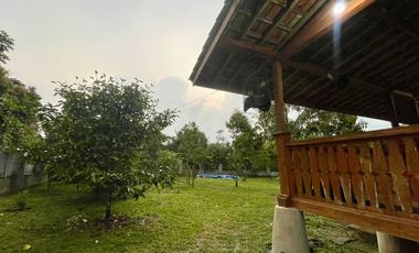 Rumah Villa + Kebun Durian 1051 m2 di Purwakarta Dijual Murah