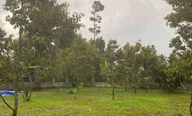 Rumah Villa + Kebun Durian 1051 m2 di Purwakarta Dijual Murah