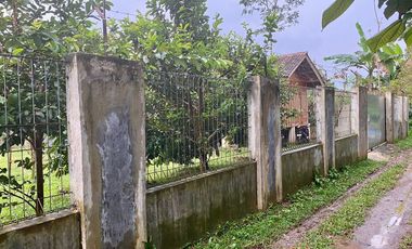 Rumah Villa + Kebun Durian 1051 m2 di Purwakarta Dijual Murah