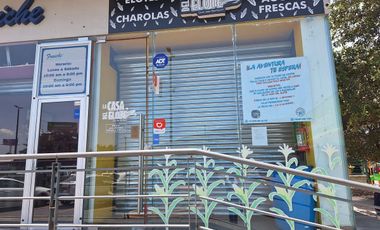 Conjunto de Locales Comerciales | Actualmente Rentados