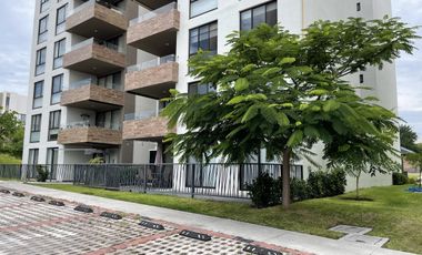 Departamento en renta en planta baja, 3 habitaciones, con alber