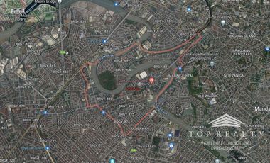 Prime Commercial Lot for Sale with Existing Structure in Santa Ana, Manila