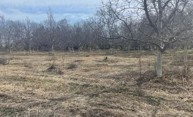 Parcela en Venta en Paso Basaure