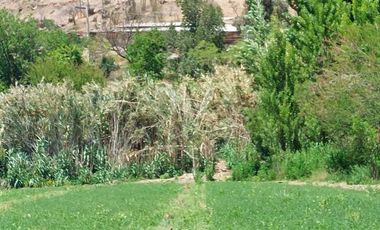 Parcela en Venta en Calle Larga