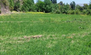 Parcela en Venta en Calle Larga