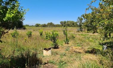 Casa en Venta en Pelarco