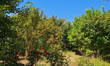 Casa en Venta en Pelarco