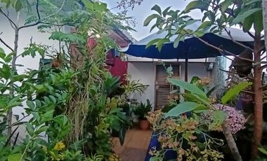 Dikontrakan Rumah 6kt Cuman 17jt/th