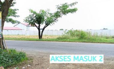 Tanah Kavling Dekat PT Jia Wei Di Desa Padakaton Ketanggungan Brebes