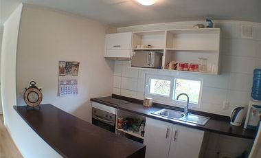 Departamento en Arriendo en Papudo Centro