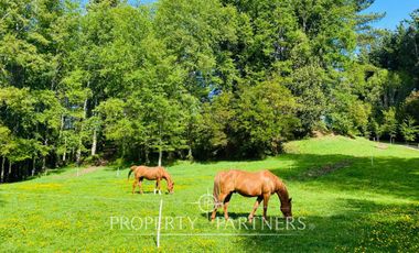 Exclusiva y acogedora casa de campo en preciosa laguna privada de 15 ha.