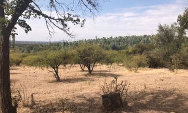 Agrícola en Venta en carrizal cueva del león