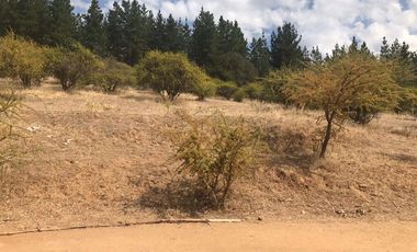 Agrícola en Venta en carrizal cueva del león