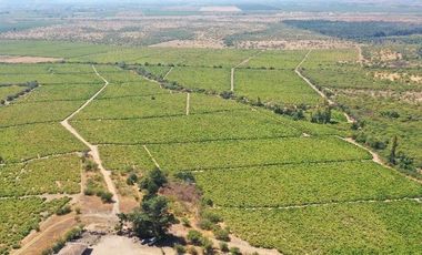 Agrícola en Venta en carrizal cueva del león