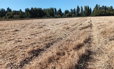 Agrícola en Venta en xx