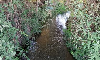 Agrícola en Venta en xx