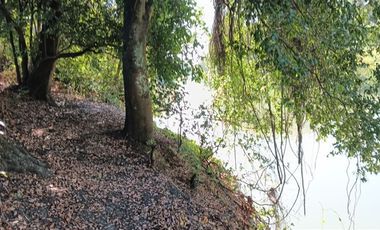 Agrícola en Venta en xx