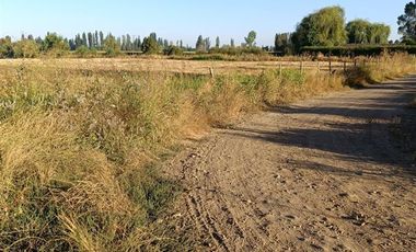 Agrícola en Venta en xx