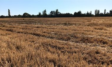 Agrícola en Venta en xx