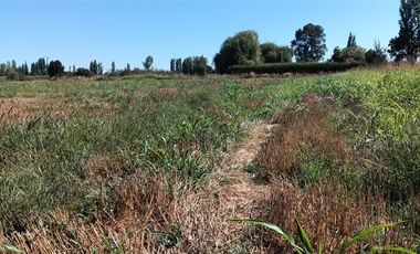 Agrícola en Venta en xx