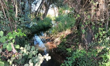 Agrícola en Venta en xx