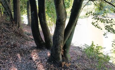 Parcela en Venta en xx