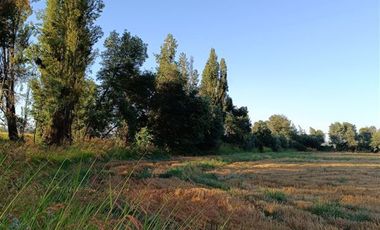 Parcela en Venta en xx