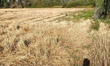 Parcela en Venta en xx