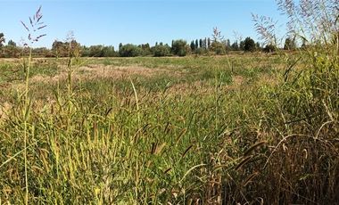 Parcela en Venta en xx