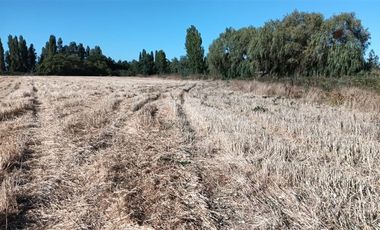 Parcela en Venta en xx