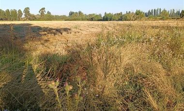 Parcela en Venta en xx