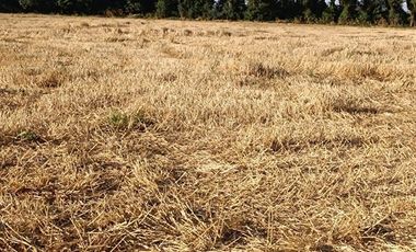 Parcela en Venta en xx