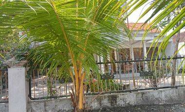 Dijual Rumah Usaha di Jati Selatan Sidoarjo
